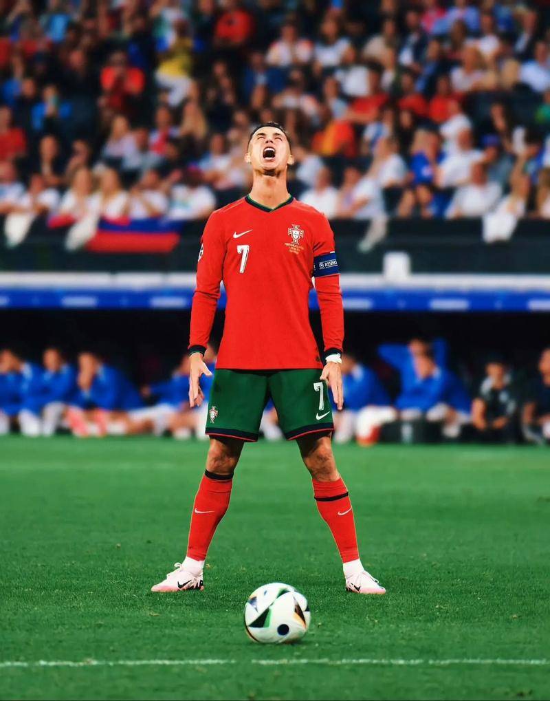 但荷兰费耶 但荷兰费耶